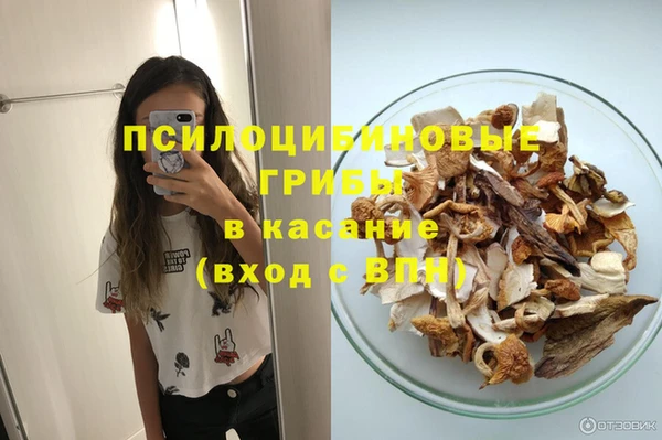 эйфоретик Армянск