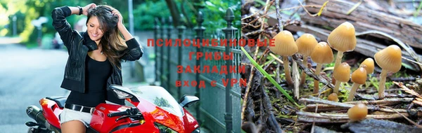 эйфоретик Армянск