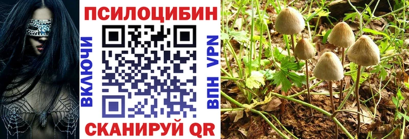 гидра ССЫЛКА  наркотики  Богучар  сайты даркнета какой сайт  Псилоцибиновые грибы Psilocybe 