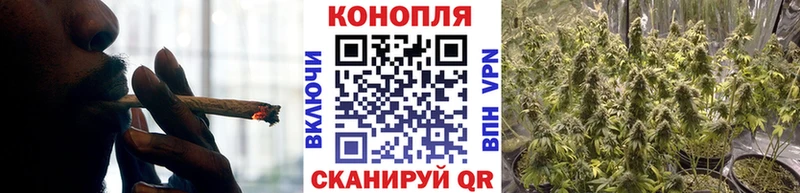 Бошки марихуана SATIVA & INDICA  Богучар 